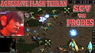 Starcraft FLASH vs 20240523 TvP SC Remastered Broodwar 2024 LADDER