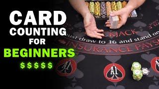 Beginner Friendly Card Counting Skills and Practice