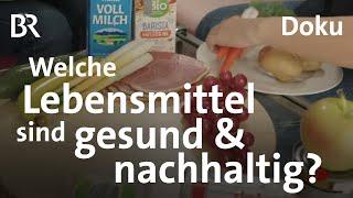 Selbstversuch: Sieben Tage sich gesund und nachhaltig ernähren | Sehen statt Hören | BR