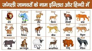 Wild animals name for kids | Animals vocabulary | जंगली जानवरो के नाम #animalsname