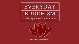Everyday Buddhism 109 - How to Train a Happy Mind with Scott Snibbe