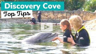 DISCOVERY COVE: What to Know Before You Go