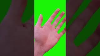 HAND SIGNS - WAVING - Green Screen Footage