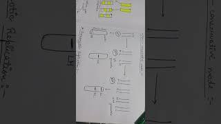 #origin and modes of replication 