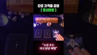 소름게 타로상담 하는 법! #타로배우기 #타로기초 #shots