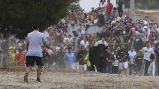 Are Spain's traditional bull runs under threat?