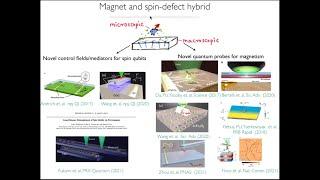 Prof. Pramey Upadhyaya: Hybrid Quantum Spintronics