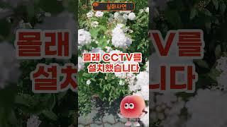 며느리 이혼시키려던 시어머니에게 시원하게 복수했습니다 #인생사연 #시어머니 #며느리 #고부갈등 #사연