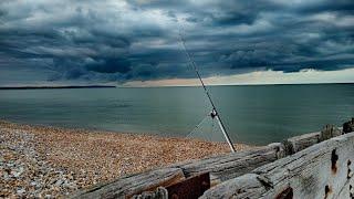 SEA FISHING UK - WHITE HORSES PEVENSEY BAY - SHORE FISHING IN EAST SUSSEX