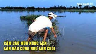 Hành Trình Cắm Câu Cá Lóc Mùa Nước Nổi Trên Đồng Và Cái Kết Quá Đắng/Fishing/NGÃ NĂM TV