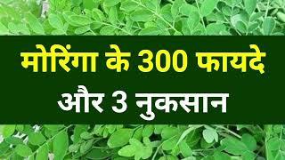 मोरिंगा के 300 फायदे और 3 नुकसान, Moringa Benefits & Side Effects