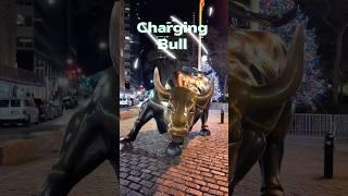 Charging Bull | The Bronze Beast | New York City #chargingbull #nyc  #newyorkcity #theoutdoorman