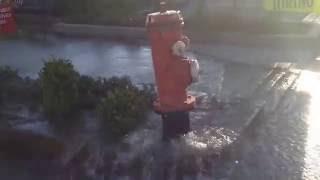 BROKEN FIRE HYDRANT!