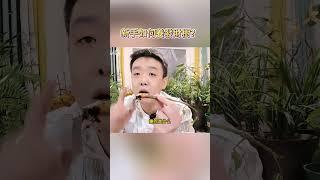 養不活發財樹，原因只有1個【禅艺绿植工作室】