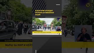 В Болгарии забросали яйцами здание Евросоюза #shorts #shortsfeed #short