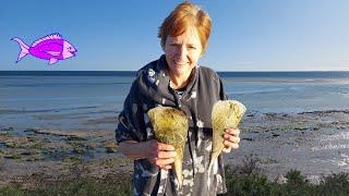 How to catch Razorfish Australia - Streaky Bay