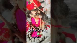अगर मुरली धर का भक्त हूं तो डरना क्या # lddugopal #राधेराधे #youtubeshorts @Srimadhavshor26
