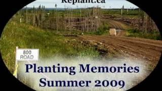 Replant.ca 2009 Summer Tree Planting Memories