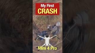 Survivor Flight: After the Crash, Can My DJI Mini 4 Pro Fly #dji #djimini4pro  #dronetech