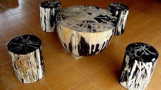 Best Petrified Wood Furniture