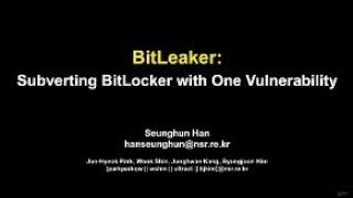 BitLeaker: Subverting BitLocker with One Vulnerability