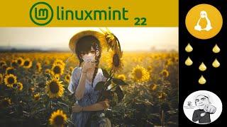 Linux Mint 22 WIlma | Linux Mint migra su base a Ubuntu 24.04 para los próximos años