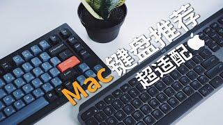 自用Mac键盘推荐，超适合苹果用户！使用体验