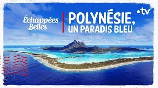 Polynésie, un paradis bleu - Échappées belles