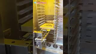 Fresh pizza in 5 minutes? Yes, from a vending machine! 