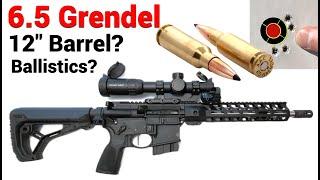 6.5 Grendel - 12" Barrel?  What can YOU expect?