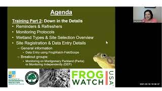FrogWatch 102