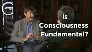 Paul Davies - Is Consciousness Fundamental?