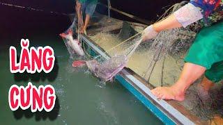 Anh Tèo Làm Sẩy Con Cá ,Tối Nay Về No Đòn Rồi | #66TV #fishing