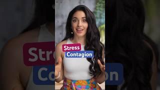 Stress is contagious. Fact.   @ShadeZahrai