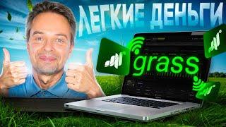 GRASS - ТВОИ ПЕРВЫЕ ДЕНЬГИ В КРИПТО С НУЛЕВЫМИ ВЛОЖЕНИЯМИ. GRASS AIRDROP. GRASS