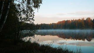 Одиночный поход с ночевкой в Подмосковье. Мороз нам не страшен!