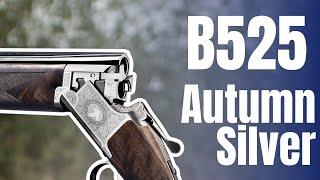 The New 2024 B525 Autumn Silver!