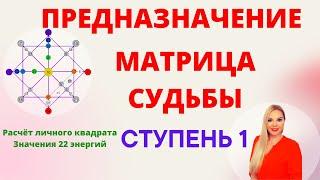 Обучение Матрица судьбы и диагностика предназначения. 1 ступень нумерологическая школа Татьяна Дивия