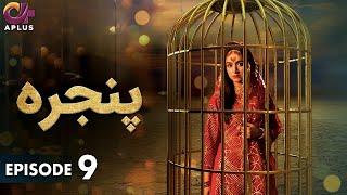 Pakistani Drama | Pinjra - Episode 9 | Aplus Gold | Yumna Zaidi, Nauman Aijaz | CZ1O