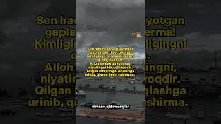 telegram kanal @mano_qidirmanglar #instagram #telegram #tiktok #videolar #yozuvli