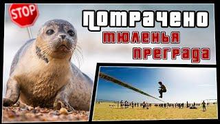 Тюленья преграда | ПОТРАЧЕНО | смешные видео 2020