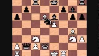 Veselin Topalov's Top Games: vs Garry Kasparov