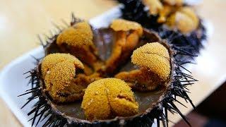 Japanese Street Food - GIANT SEA URCHIN Uni Sashimi Japan Seafood