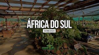 ÁFRICA DO SUL 2024  (COOPTUR)