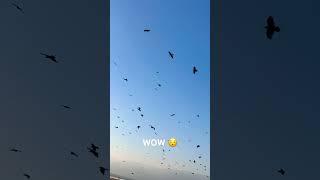 WOW it’s Really Amazing  #viral #4you #shortvideo