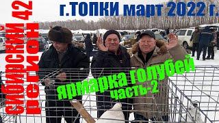 БАКИНСКИЕ,УЗБЕКСКИЕ ГОЛУБИ на ЯРМАРКЕ - г.ТОПКИ март 2022г (часть 2)