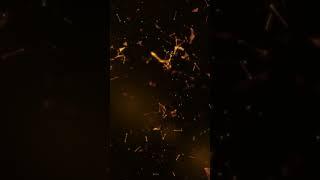 ЗОЛОТО МИРОВОГО ОКЕАНА | OCEAN