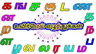 உயிர்மெய் எழுத்துக்கள் / UyirMei Ezhuthukkal /Tamil Letters /கஙசஞ/ UyirMei Ezhuthukkal sound & name