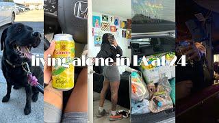 living alone in la at 24 | household restocking, girls night, pet supplies, etc