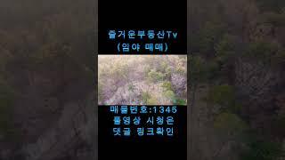 1345 #즐거운부동산tv #토지 #촌집